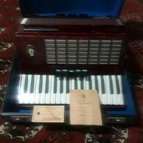 akkordeon аккордеон