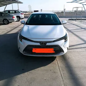 Toyota Corolla 2020