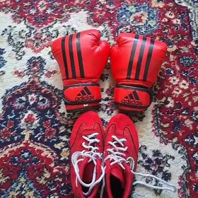 percatka bn barsowka