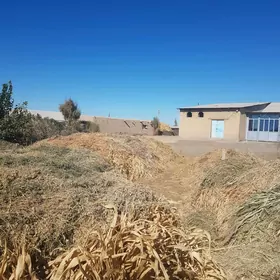 Abmene ot yorunjayam bar