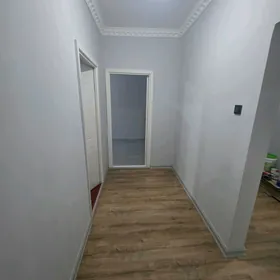 Taze Ahal buzmeyn eyesi