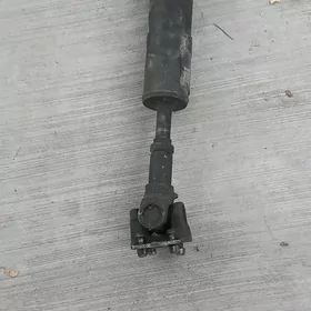 Niwa kardan кардан