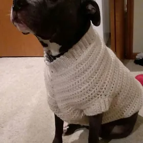 Вязаная одежда для питомцев ​