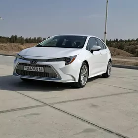 Toyota Corolla 2022