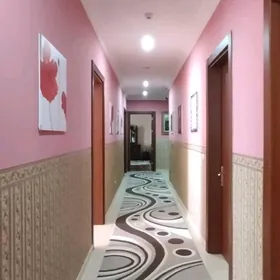  БЕРКАРАР ЭЛИТКА 3 КОМ 