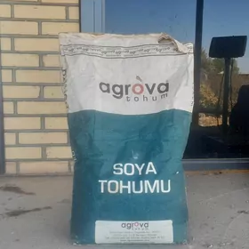 Soýa tohumy