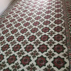 Abadan haly daroşka