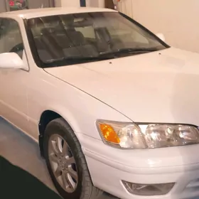 Toyota Camry 1999
