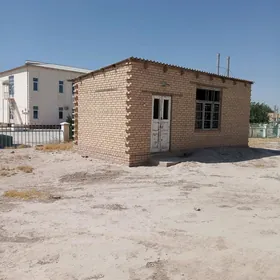 Halaç ş. satlyk jaý