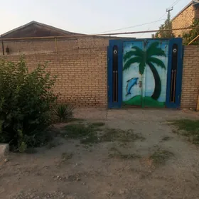 Halaç ş. satlyk jay