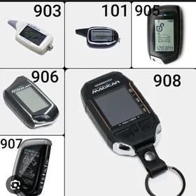 MACIGAR KORPUS DASLARY