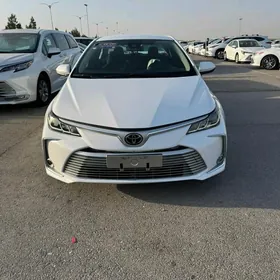 Toyota Corolla 2021