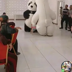 Ak Ayy Panda