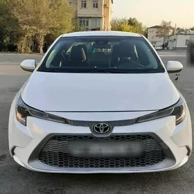 Toyota Corolla 2020