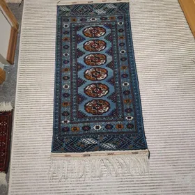 haly carolla versa elantra