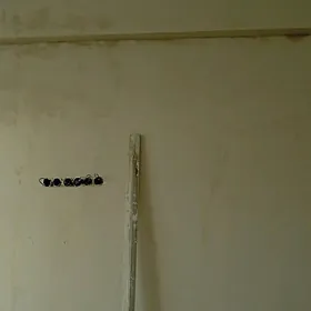 Iş gözleýän men malýarşik