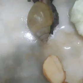 улитки, ulitki