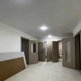 Gurtly amatly pol elitka