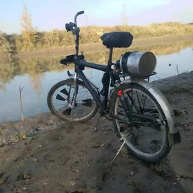 ️️WELLIK ÝORAP DUR️️