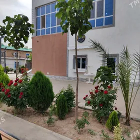 Ilata hyzmat edis nokady