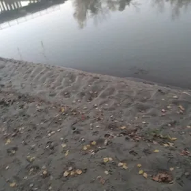 ️IŞ GEREK OGLAN MN️️