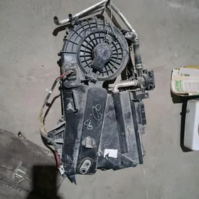 Duty siyenan yzky pec konsaner