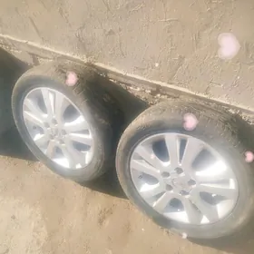 Teker taze bolyny narmyny Op