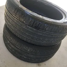 pakriska 215-55-17 centara