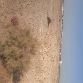 satlyk Jay Mellek yer