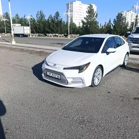Toyota Corolla 2020