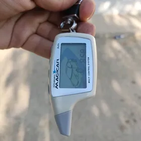 Ak magicar pulduň ozi