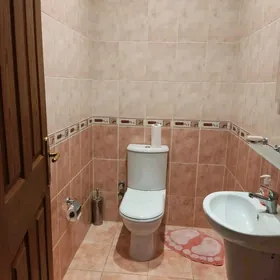 Gogol poluelitka 3 kom