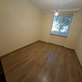 аренда бизмейин грес