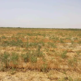 Satlyk yer bar 12 so