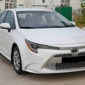 Toyota Corolla 2020