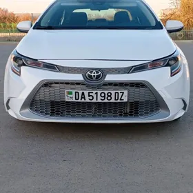 Toyota Corolla 2021