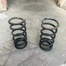 sienna purzhin 10-20 aralyk