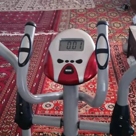 Tyrnažorny lyja tigr