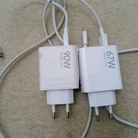 XIAOMI ZARYATNIK ORG.