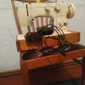 satlyk tikin nasynka