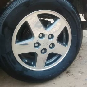 Diske 15 baş taýak