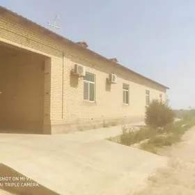 danew 16 sotok mellek