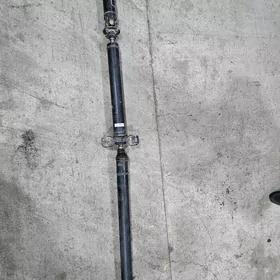 kardan haylandyr 2017-2022