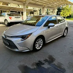 Toyota Corolla 2021