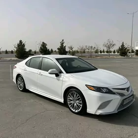 Toyota Camry 2020