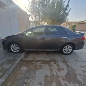 Toyota Corolla 2009