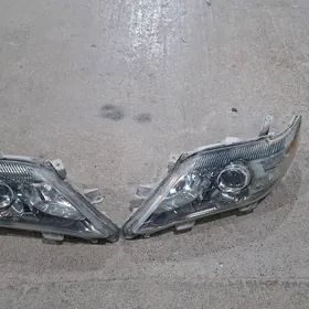 okuz kelle faralar original