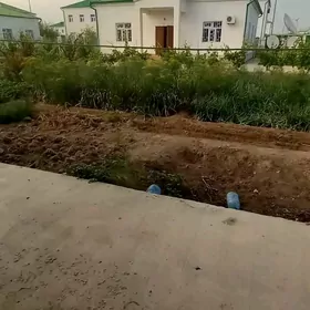 Arenda jaý täze zaman