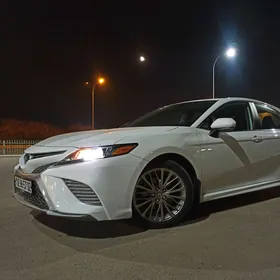 Toyota Camry 2020
