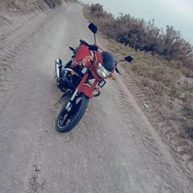 Fekon FK200-14G 2015